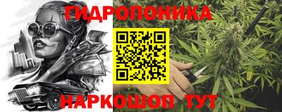 прущие крисы Можга