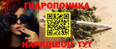 прущие крисы Можга